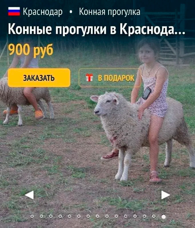 post-27001-0-34031600-1738092993.jpg