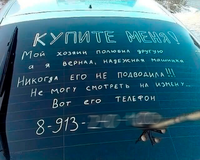 post-27001-0-70177500-1740840287.jpg