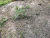 IMG_20250426_105737-2.jpg
