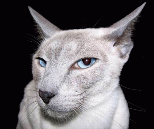 photo-21.jpg?_r=1422947856