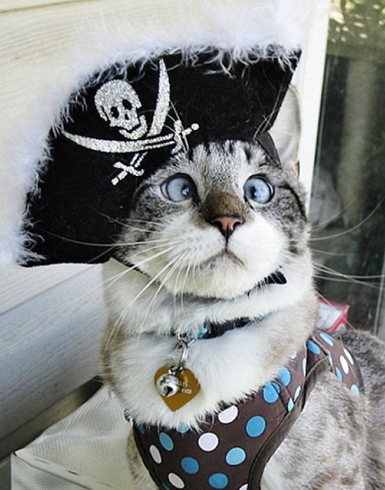 photo-27807.jpg?_r=1436518093