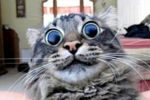 photo-30027.jpg?_r=1460713206