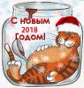 до какого возраста женщина может родить здорового третьего ребенка? - последнее сообщение от gever.