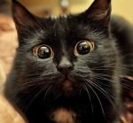 photo-4984.jpg?_r=1425974199