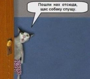 photo-8277.png?_r=1421831430